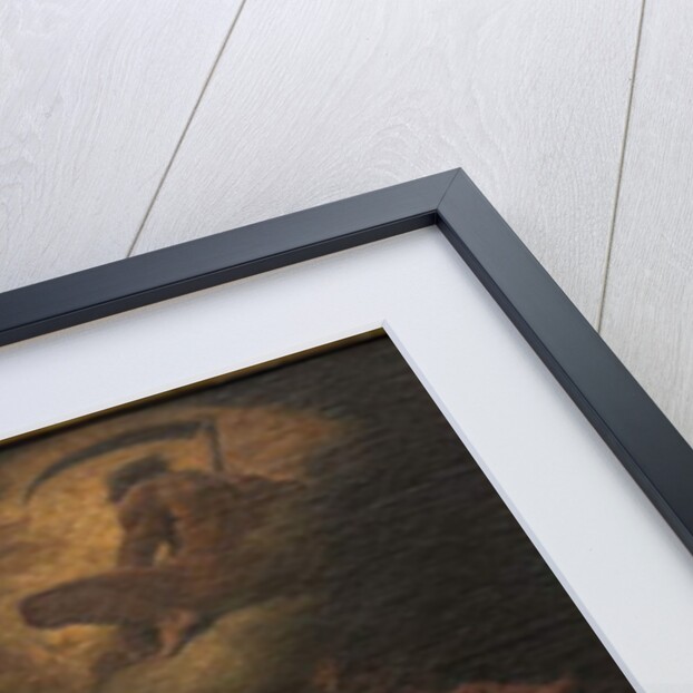 Minerva by Sebastiano Ricci