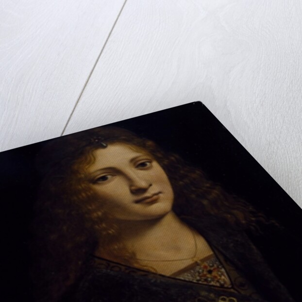 Portrait of a young man, possibly Girolamo Casio, c.1500 by Giovanni Antonio Boltraffio