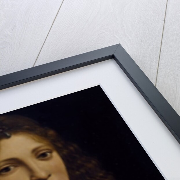 Portrait of a young man, possibly Girolamo Casio, c.1500 by Giovanni Antonio Boltraffio