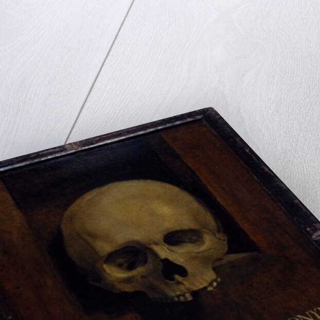 Memento Mori, c.1500 by Giovanni Antonio Boltraffio