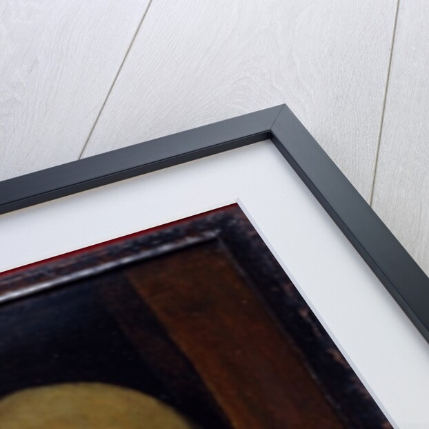 Memento Mori, c.1500 by Giovanni Antonio Boltraffio