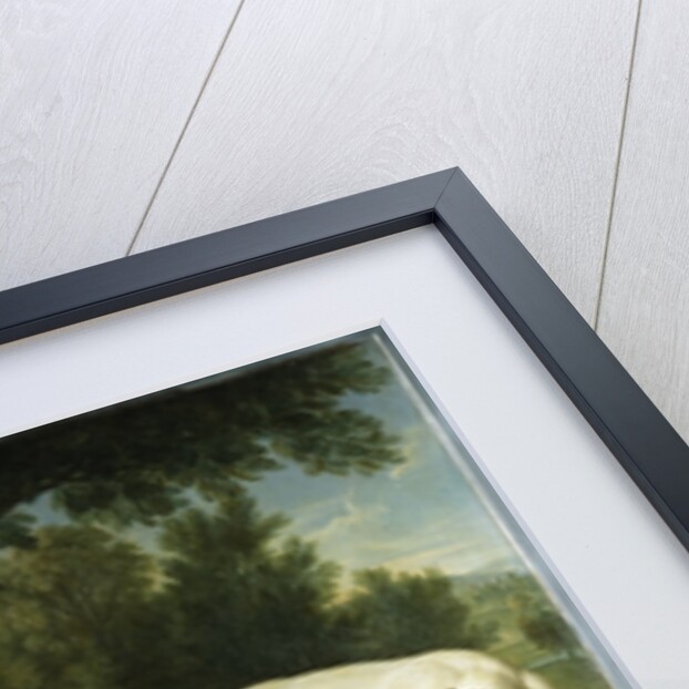 Two pointers belonging to the 3rd Earl of Burlington with dead game in a landscape, 1713 by Alexandre-Francois Desportes