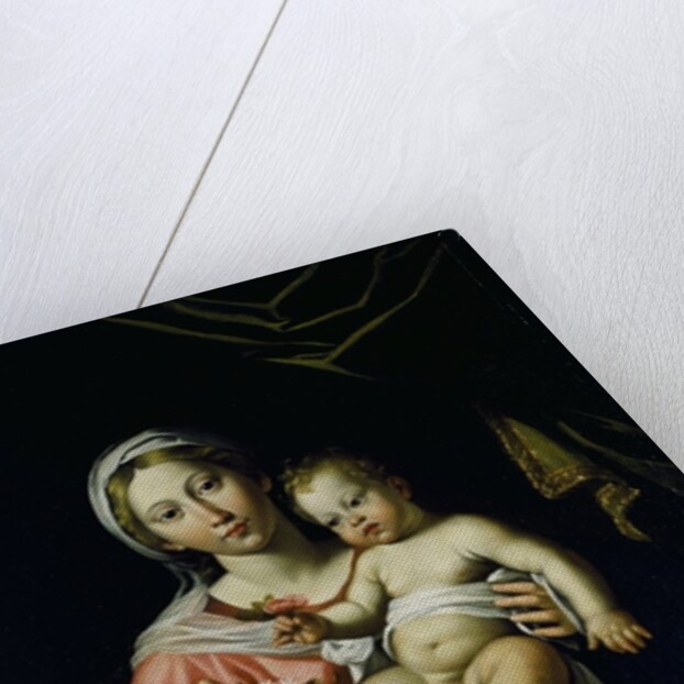 The Madonna della Rosa, before 1627 by Domenichino