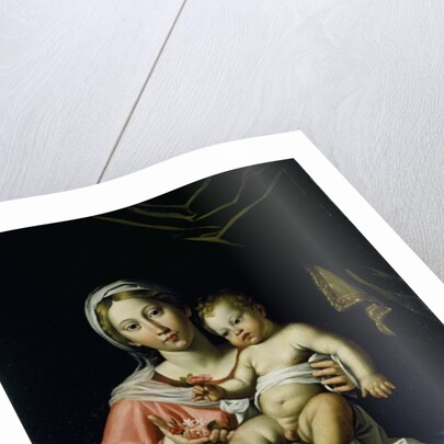 The Madonna della Rosa, before 1627 by Domenichino