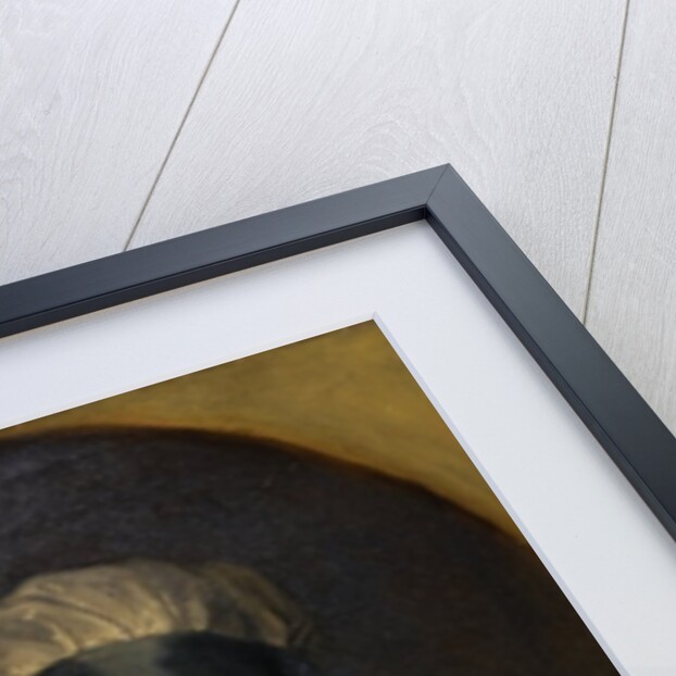 Portrait of Georgiana Poyntz, Dowager Countess Spencer, c.1798-1810 by Henry Howard