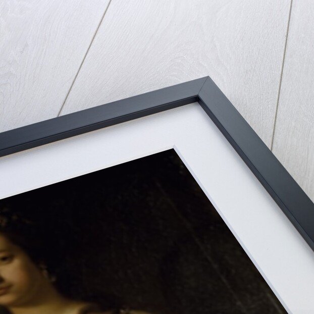 Portrait of Lady Charlotte Boyle, c.1748 by George Knapton