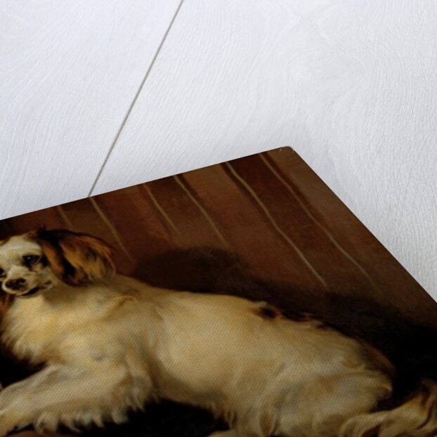 Bony and Var, c.1843 by Edwin Landseer