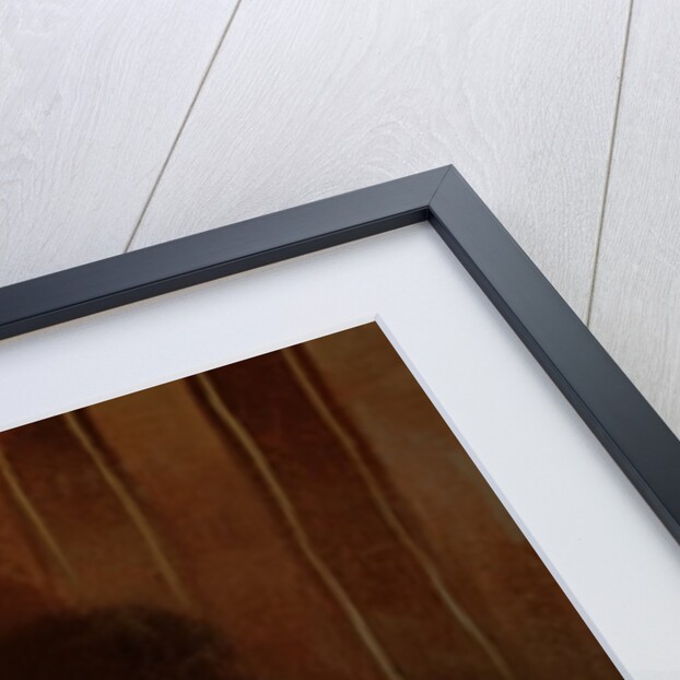 Bony and Var, c.1843 by Edwin Landseer