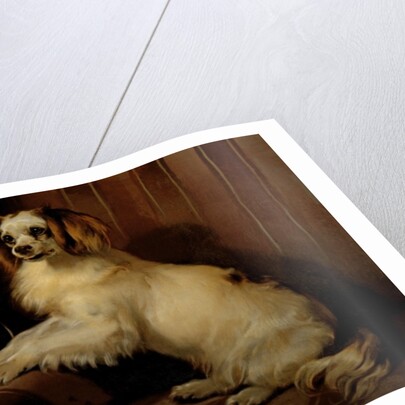 Bony and Var, c.1843 by Edwin Landseer