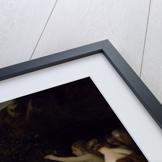 The Rape of Europa by Peter Lely