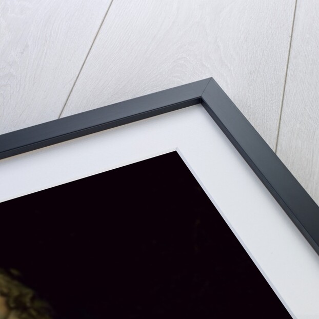 Portrait of a young girl in green by Peter Lely