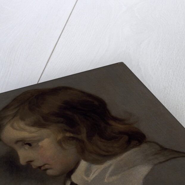 Head of a young boy by Peter Lely