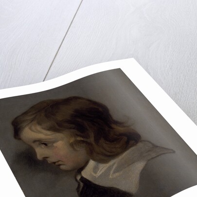Head of a young boy by Peter Lely