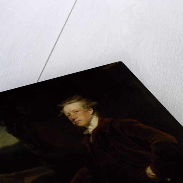 Lord Richard Cavendish by Joshua Reynolds