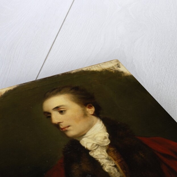 James Hare, M.P. by Joshua Reynolds