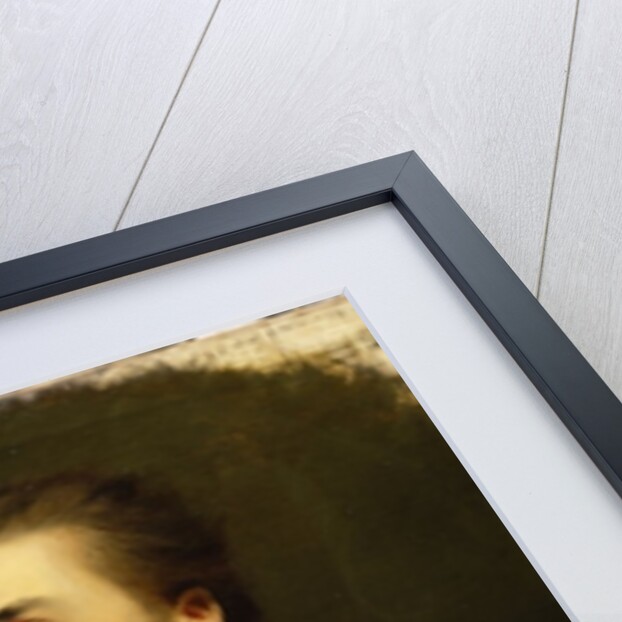 James Hare, M.P. by Joshua Reynolds