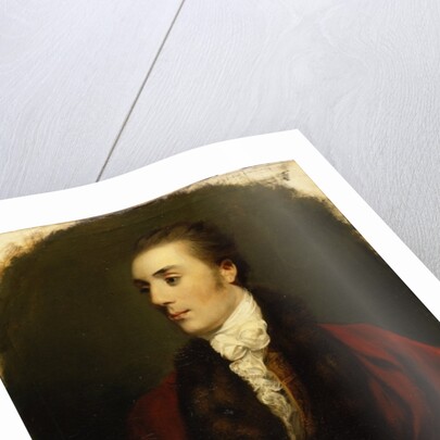 James Hare, M.P. by Joshua Reynolds