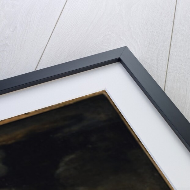 David and Goliath by Salvator Rosa