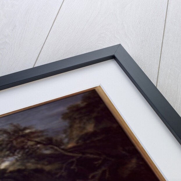 Jacob's Dream by Salvator Rosa