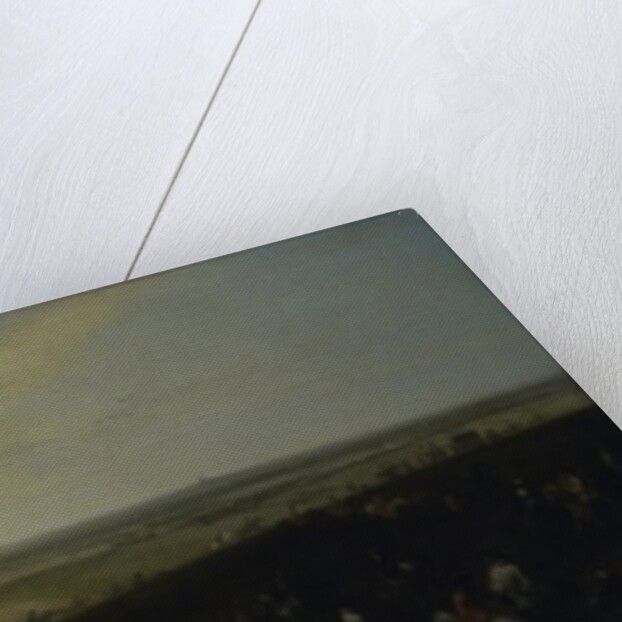 View of old Newmarket with the Watering Course on Warren Hill by Peter Tillemans