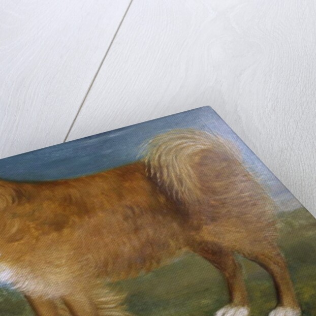 Brown Dog in a Landscape, c.1850 by Unknown Artist