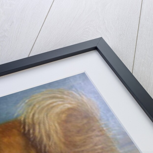 Brown Dog in a Landscape, c.1850 by Unknown Artist