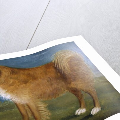 Brown Dog in a Landscape, c.1850 by Unknown Artist