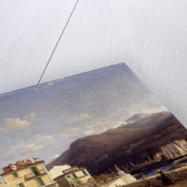 View of the entrance to the harbour, Nice by Francois Antoine Leon Fleury