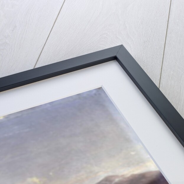 View of the entrance to the harbour, Nice by Francois Antoine Leon Fleury