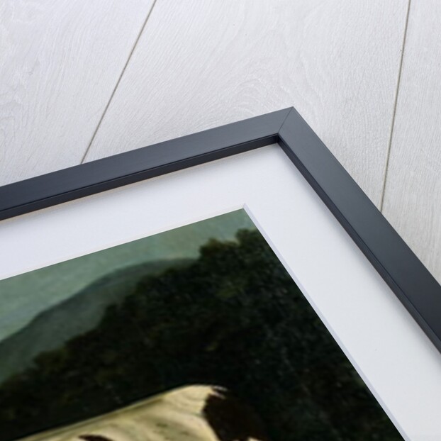 The Famous Craven Heifer by W. D. Fryer