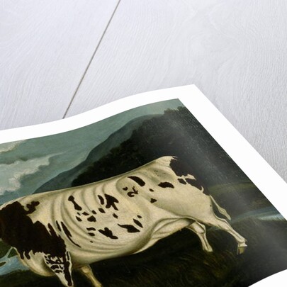 The Famous Craven Heifer by W. D. Fryer