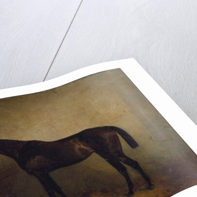 Chaplet, a bay race mare in a loosebox, c.1877 by Harry Hall