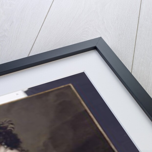 Portrait of Lady Frances Cranfield, Lady Buckhurst, later Countess of Dorset, c.1637-50 by Anthony van Dyck