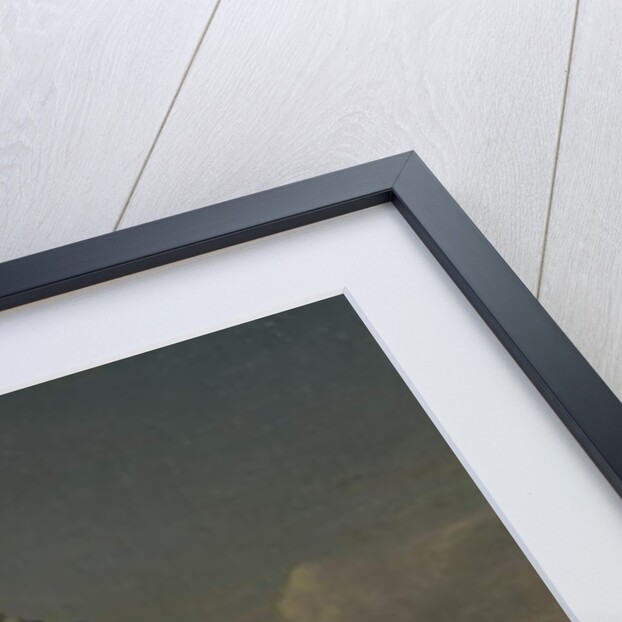 Equestrian portrait of Charlotte Boyle, Marchioness of Hartington, 1747 by William Kent