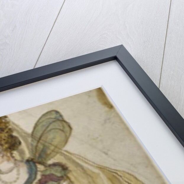 Lady masquer by Inigo Jones