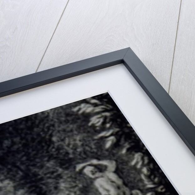 Detail of 'The Poplar Grove, Lord Burlington's Chiswick Villa' by Jacques Rigaud