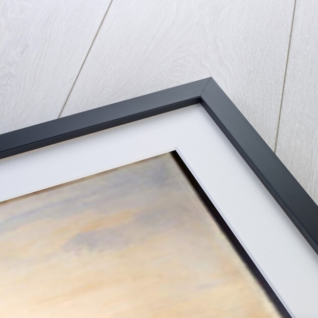 Chiesa della Salute, Grand Canal, Venice by Gaspar van Wittel