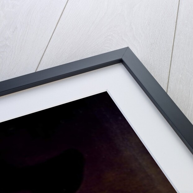 Portrait of Herman Doomer, 1644 by Lambert Doomer