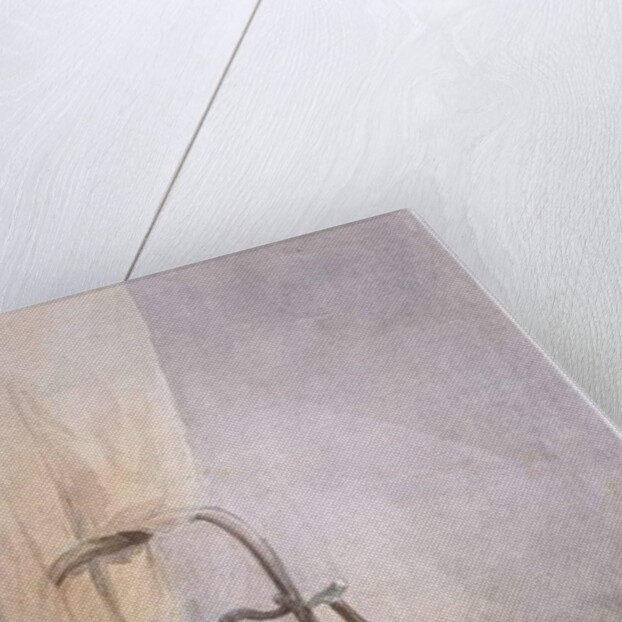 Study of a dog on a chair by William Henry Hunt