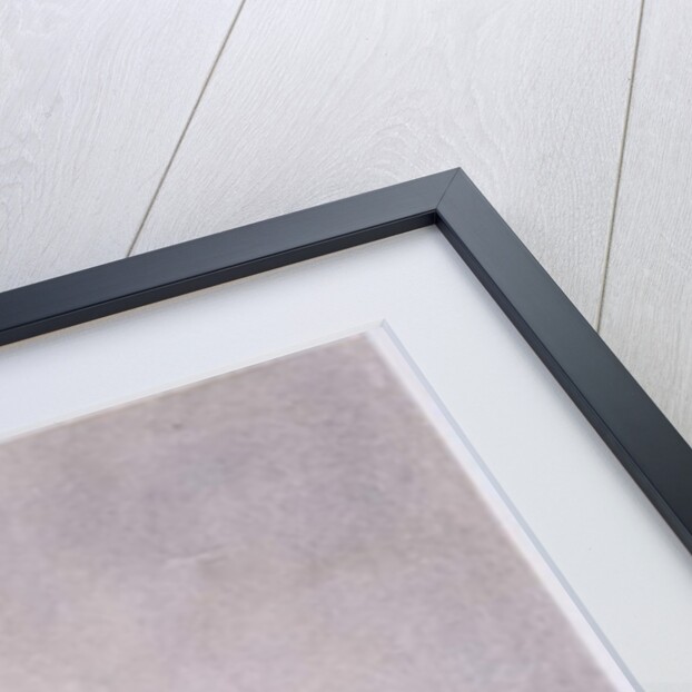 Study of a dog on a chair by William Henry Hunt