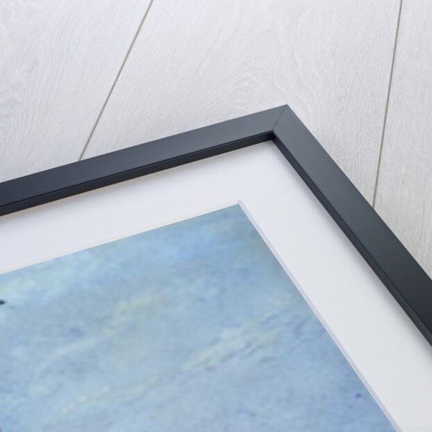 The Column of Phocas by Samuel Prout