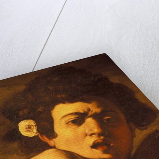 Boy bitten by a lizard, Caravaggio work of art, Palazzo Ducale, Genoa, Ligury, Italy by Anonymous