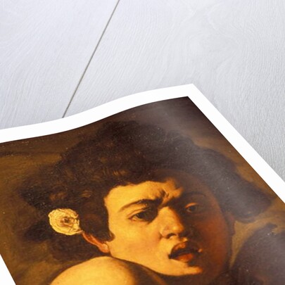 Boy bitten by a lizard, Caravaggio work of art, Palazzo Ducale, Genoa, Ligury, Italy by Anonymous