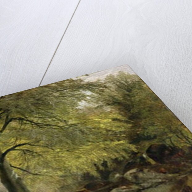 Deer in a Wood by Joseph Adam