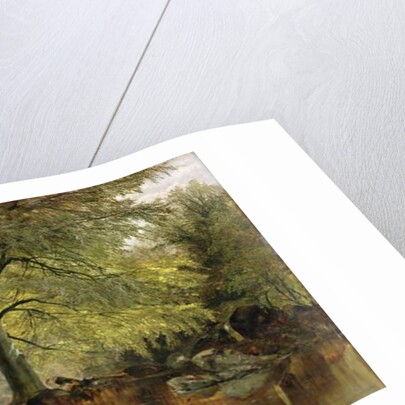 Deer in a Wood by Joseph Adam