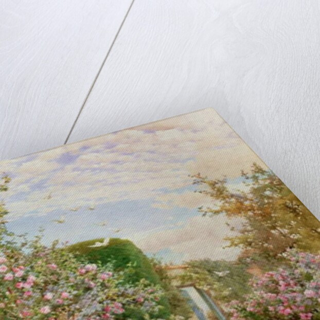 China Roses, Broadway by Alfred Parsons