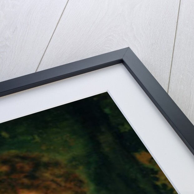 Edith Francis Moir, 1898 by William Clark Wontner