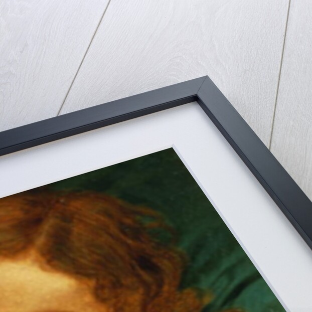 Awake by Sophie Anderson