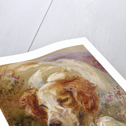 A Spaniel by James Jnr Hardy