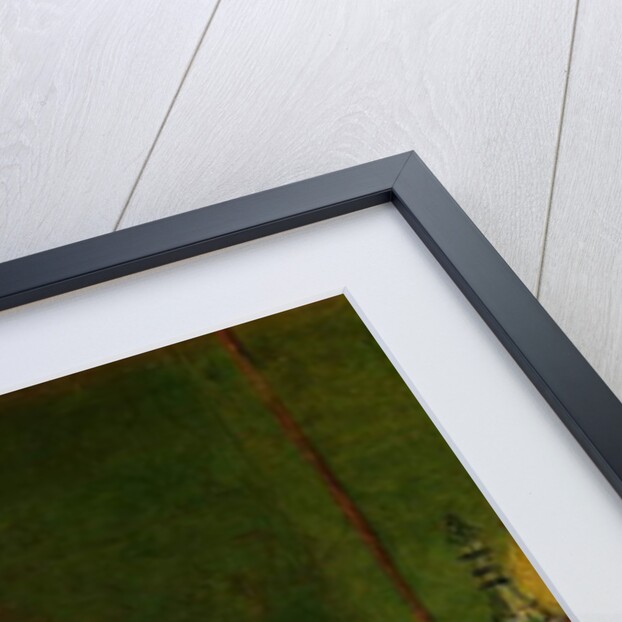 Portrait of Annie Gambart by William Powell Frith